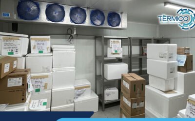 La Precisión del Frío al Servicio de la Ciencia